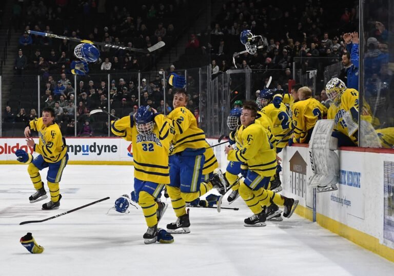 st cloud cathedral hockey