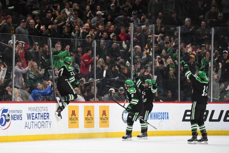 minnesota high school hockey