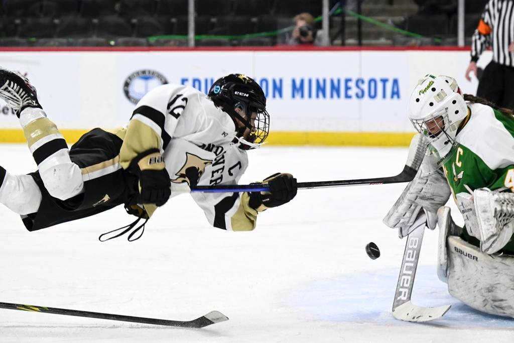 hockey hub minnesota