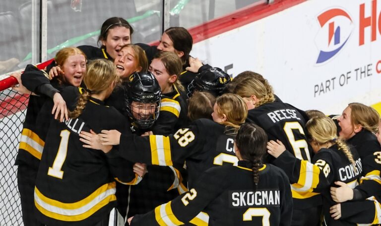 Introduction to Minnesota Girls Hockey